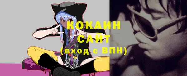 ешки Горняк