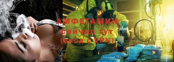ешки Горняк